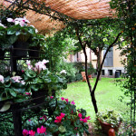 Ecco cosa vede la moglie del giardiniere