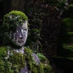 I riti contemplativi del giardiniere appassionato