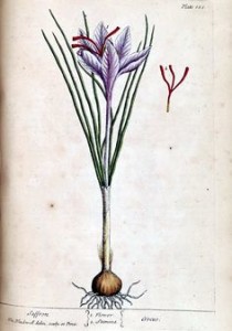 zafferano